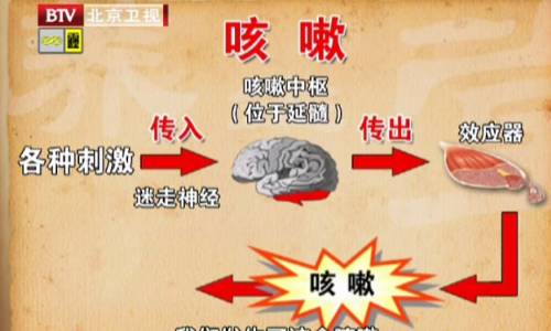 byb.cn byb.cn