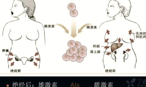 byb.cn byb.cn