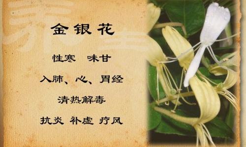 byb.cn byb.cn