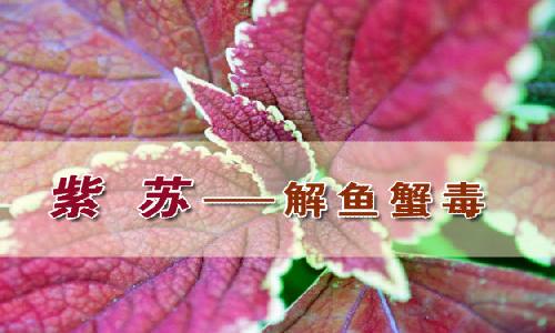 byb.cn byb.cn