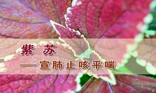 byb.cn byb.cn