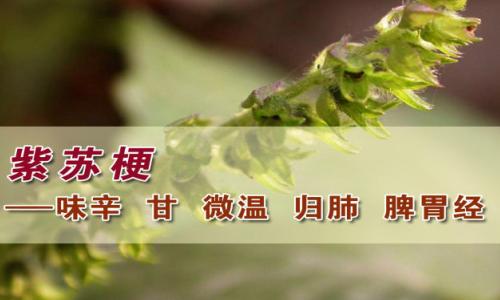 byb.cn byb.cn