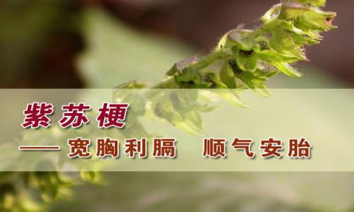 byb.cn byb.cn
