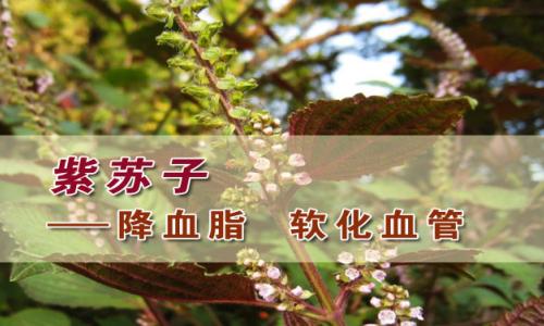 byb.cn byb.cn