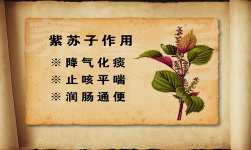 byb.cn byb.cn